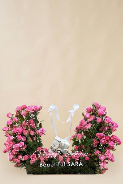 IMG 20241109 WA0101