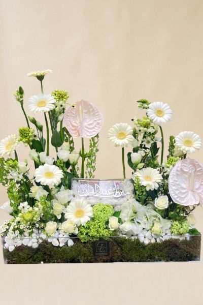 IMG 20241109 WA0107