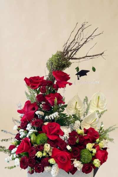 IMG 20241109 WA0114