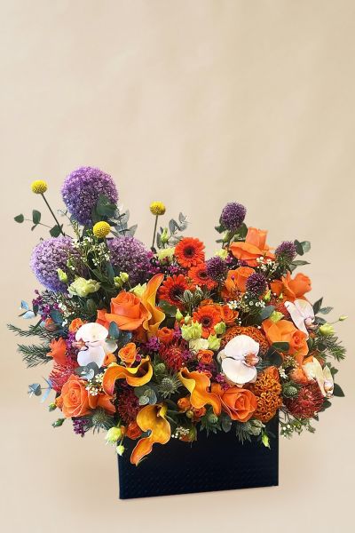 IMG 20241109 WA0126