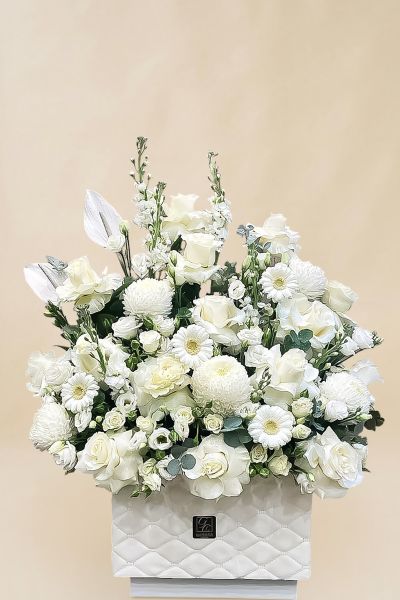 IMG 20241109 WA0127