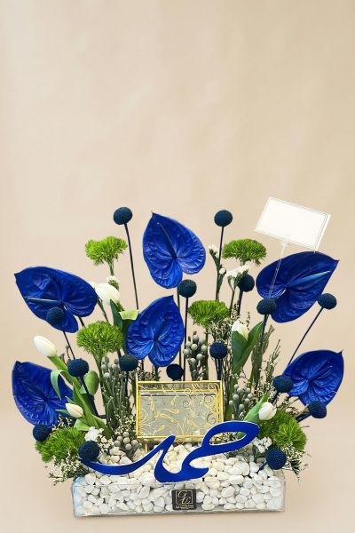 IMG 20241109 WA0138