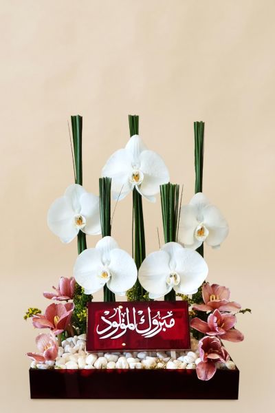 IMG 20241109 WA0142