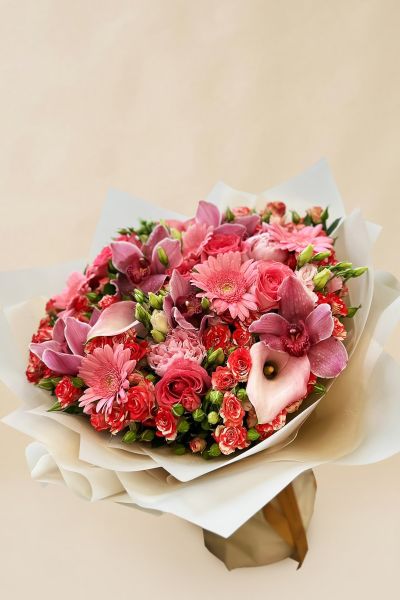 IMG 20241109 WA0147